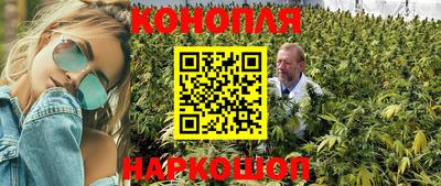 PSILOCYBIN Краснодар
