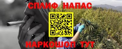 PSILOCYBIN Краснодар