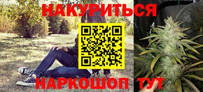 прущие грибы Краснознаменск