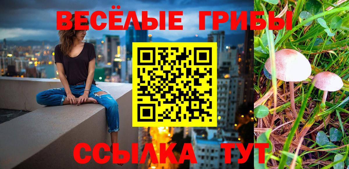 Краснодар  Галлюциногенные грибы Psilocybine cubensis  Вход с VPN 