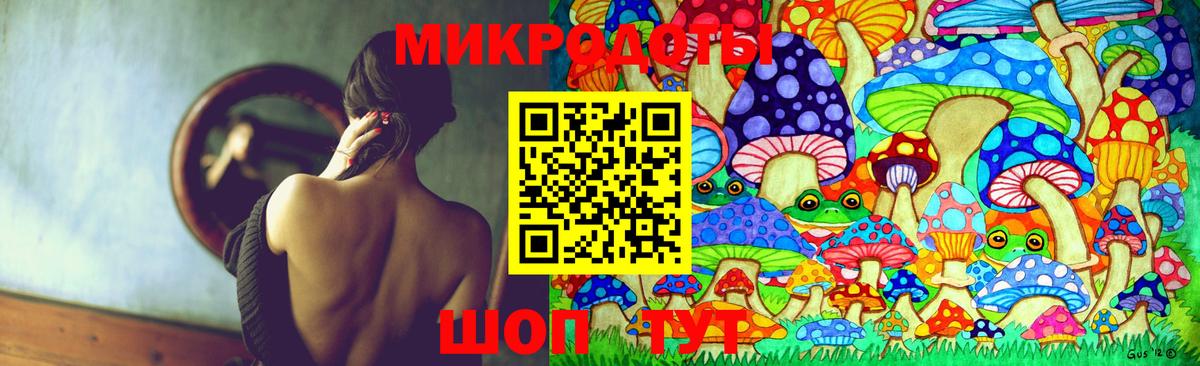 Псилоцибиновые грибы Cubensis Краснодар